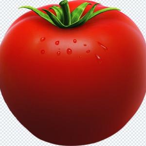 Download Fruit & Vegetable PNG Pack – Transparent High-Resolution Food Graphics