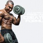 Download 50+ Wrestling PNGs – Strongman & Muscle Power Transparent Bundle