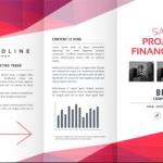 Download 350 Plus CDR Triple Flyers – Professional CorelDRAW Editable Flyer Templates