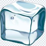 Download 200+ Nature PNG Pack – Greenery, Leaves & Outdoor Designs