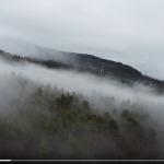 200+ Royalty-Free Stock Videos – UHD 4K Collection for Editing & Marketing