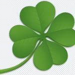 Download 200+ Nature PNG Pack – Greenery, Leaves & Outdoor Designs