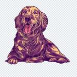 Download 2500 Plus T-Shirt CDR Designs – Premium Editable CorelDRAW Graphics for Fashion & Printing