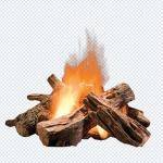 Download 200+ Nature PNG Pack – Greenery, Leaves & Outdoor Designs