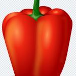 Download Fruit & Vegetable PNG Pack – Transparent High-Resolution Food Graphics