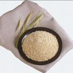 Fruits & Wheat 108 PNGs – Fresh Fruits, Wheat & Healthy Food Transparent Images