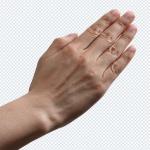 1000+ Hands PNGs Bundle – Hand Gestures, Signs & Transparent Images Pack