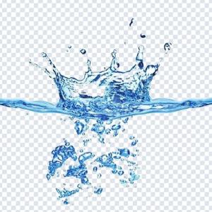 Download 200+ Nature PNG Pack – Greenery, Leaves & Outdoor Designs