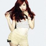 50+ Women’s PNGs – Transparent Professional & Lifestyle Images