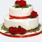 Download All Food PNGs – Transparent High-Quality Food & Beverage Images Pack