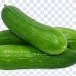 Download Fruit & Vegetable PNG Pack – Transparent High-Resolution Food Graphics