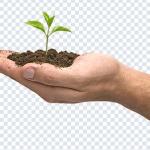 1000+ Hands PNGs Bundle – Hand Gestures, Signs & Transparent Images Pack