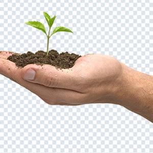 1000+ Hands PNGs Bundle – Hand Gestures, Signs & Transparent Images Pack