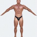 Download 50+ Wrestling PNGs – Strongman & Muscle Power Transparent Bundle