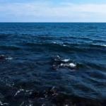 200+ Royalty-Free Stock Videos – UHD 4K Collection for Editing & Marketing