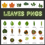 500+ Woody, Nails Head & Leaves Brushes with Seamless Textures | Photoshop Kit for Designers & Artists