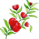 Mega Bundle: 1300+ Flowers CDR Templates | Editable CorelDRAW Floral Vectors & Designs