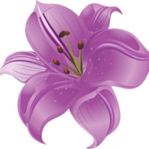 Mega Bundle: 1300+ Flowers CDR Templates | Editable CorelDRAW Floral Vectors & Designs