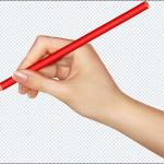 1000+ Hands PNGs Bundle – Hand Gestures, Signs & Transparent Images Pack