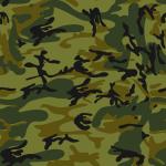 Premium 70+ Background & Texture CDR Files – Editable Floral, Military, and Pattern Designs