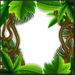 Mega Bundle: 1300+ Flowers CDR Templates | Editable CorelDRAW Floral Vectors & Designs