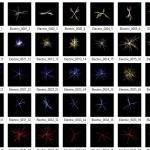 Mega Bundle: Logo, Elements, Background, Overlay & Icon Bundles | Editable PSD, PNG & Vector Design Assets