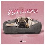 Download 100+ Pet Shop PSD Templates | Mega Bundle of Editable Flyers, Banners & Social Media Designs for Pet Stores